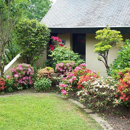 Jardin Des Chats Sévignacq-Meyracq Esterno foto