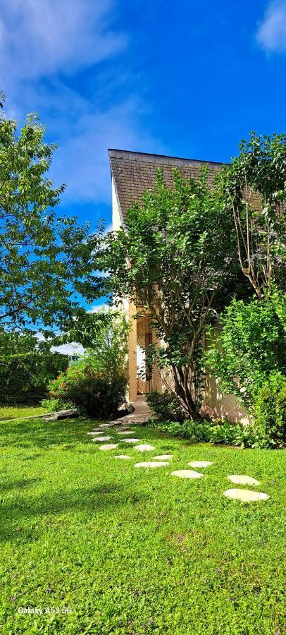 Jardin Des Chats Sévignacq-Meyracq Esterno foto