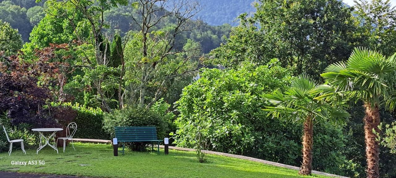 Jardin Des Chats Sévignacq-Meyracq Esterno foto