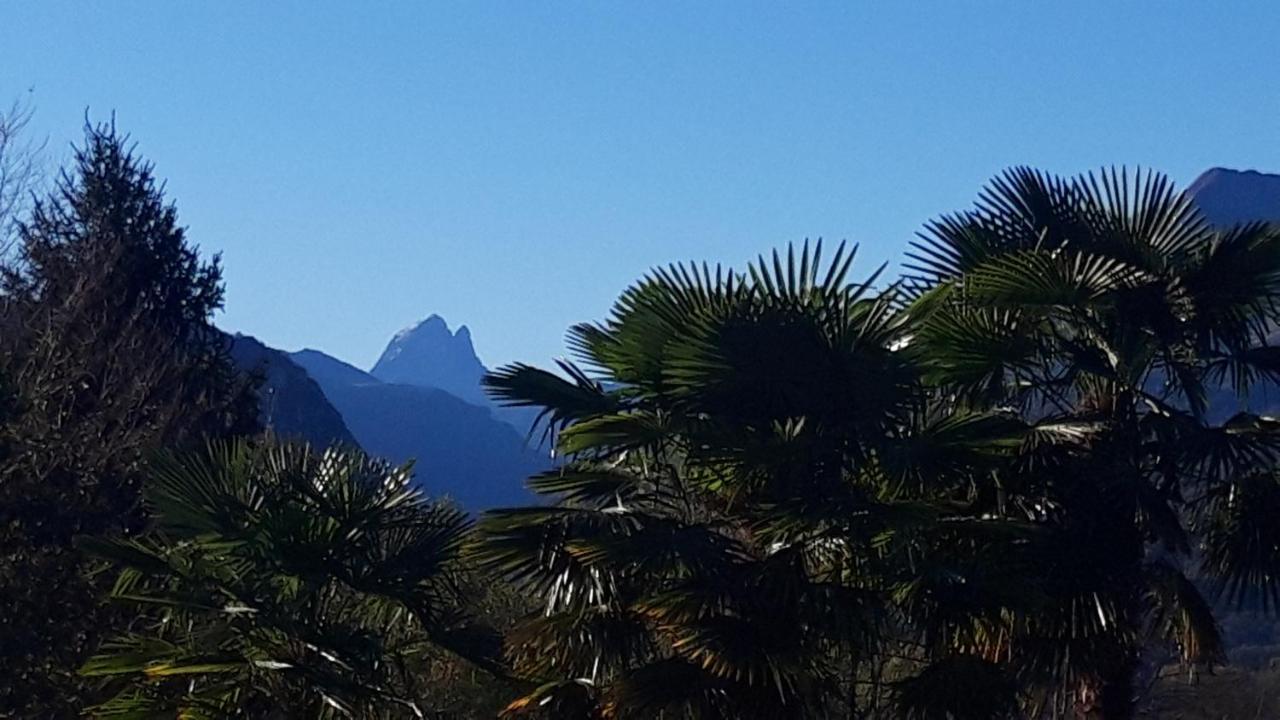 Jardin Des Chats Sévignacq-Meyracq Esterno foto