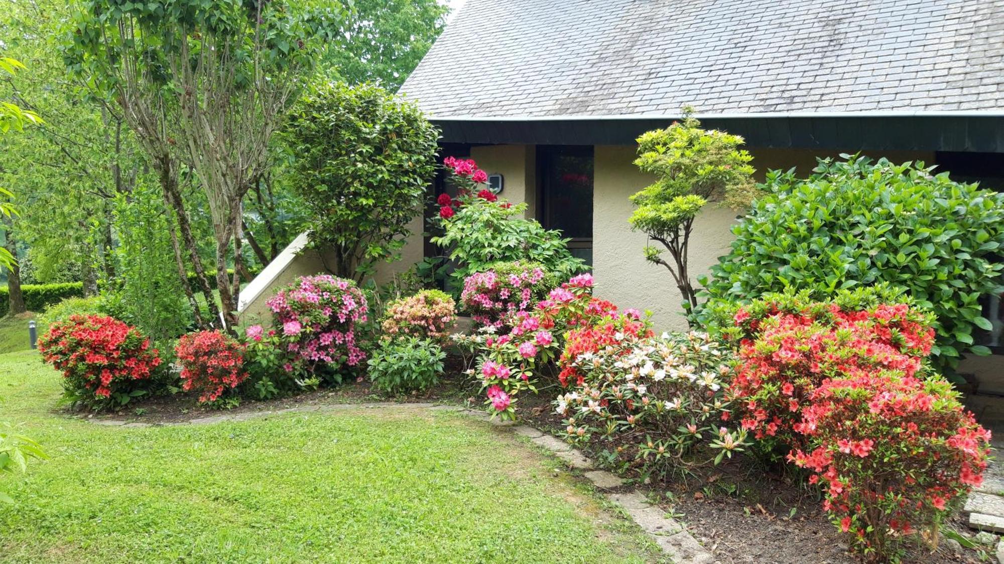 Jardin Des Chats Sévignacq-Meyracq Esterno foto